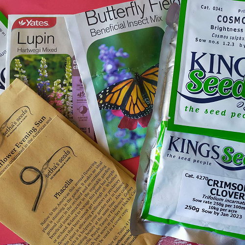 Crafty Seeds Workshop- Wild Dunedin Festival