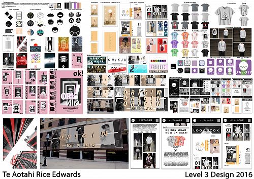 Te Aotahi Rice-Edwards L3 Design 2016