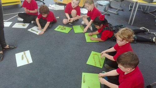 Measurement - week one