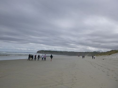 Year 13 Geography Beach Visit