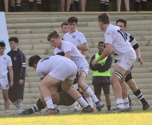 1st XV vs New Plymouth Boys' High School
