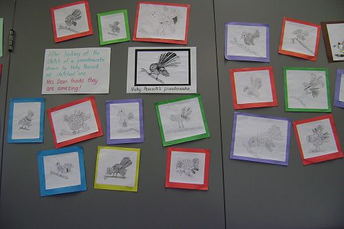 Sketches of fantails