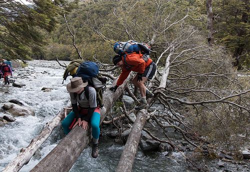 Log bridge across the South Temple.
