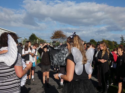 House Day 2021 - Cygnus