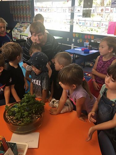 The little and big buddies looking at the garden