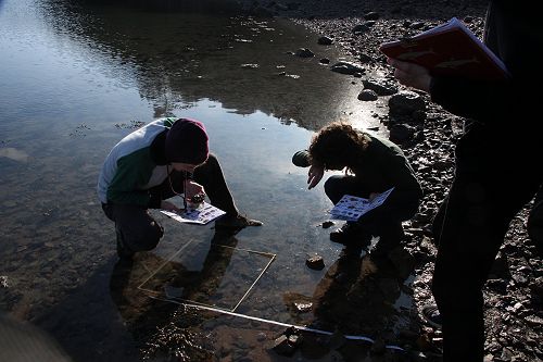 Year 12 Biology Field Trip