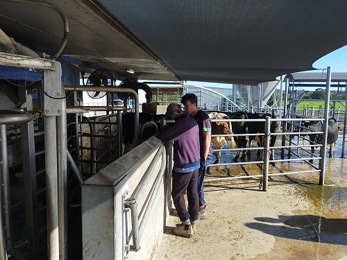 Senior Agri-Sports Competition 2023