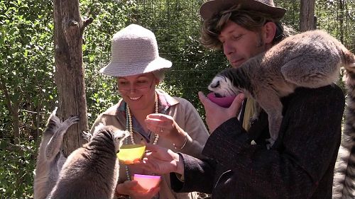 Video: 2019 Farewell To Year 6