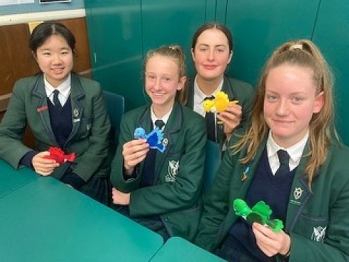  Elaina, Emma, Sienna, Bella are making fabulous sports bag tags in house colours