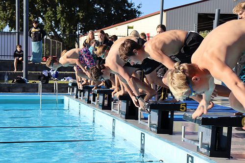 Swimming sport heats