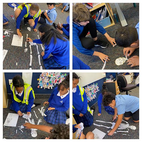 Science with Mrs Ryu :)