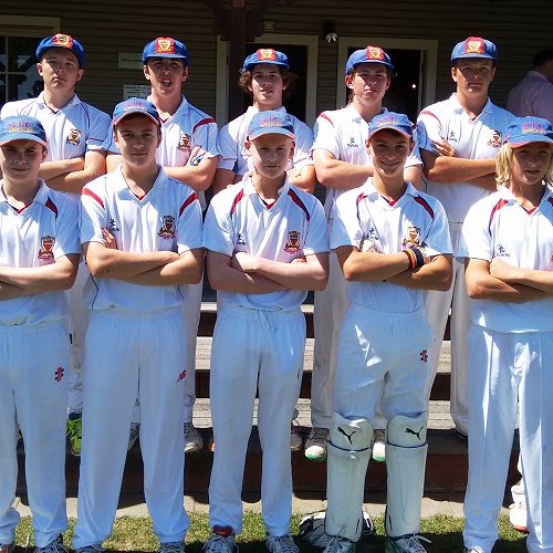 Cricket - Willows 2016