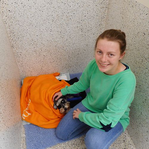 Jasmine Peneamene - Vetlife Timaru