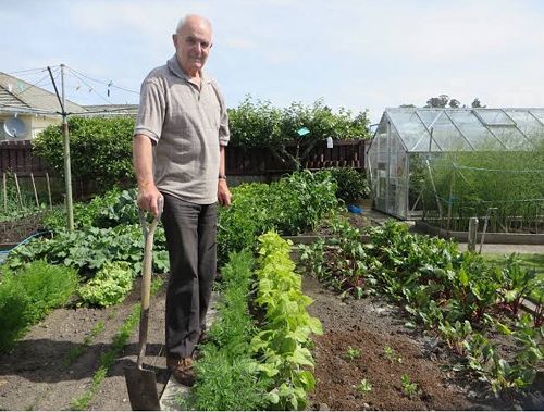 Bernard in his productive vege garden