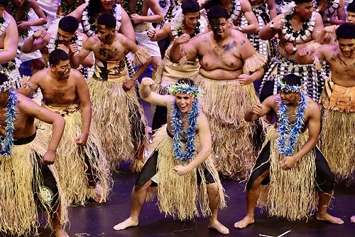 Pasifika Fusion 2023
