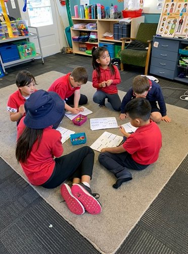 NZSL in Ake Ake class