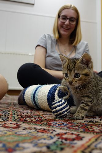 Cuddle Fix - 10 June 2018