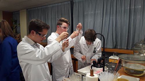 L to R: Blaithan Altenburg, William Wray and Yuma Guerin