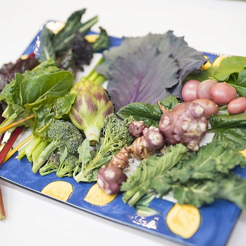 Produce from the Living Garden at Otago Polytechnic