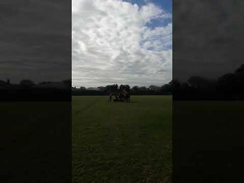 Video: Senior Boys Football