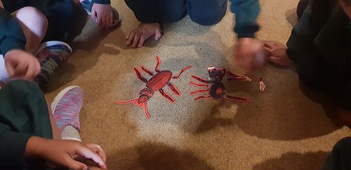 Awa's Trip to the Canterbury Museum