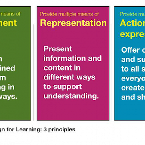 3 principles of Universal Design for Learning