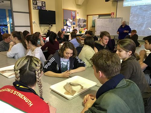 13 Biology Field Trip