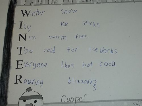 Cooper's Wonderful Winter Words