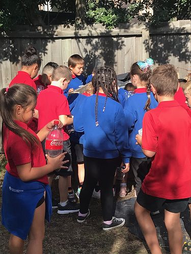 STEAM - Terrarium Making - Team Harakeke