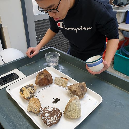 Ryan Wong- shelter seeking response of crabs in reduced pH