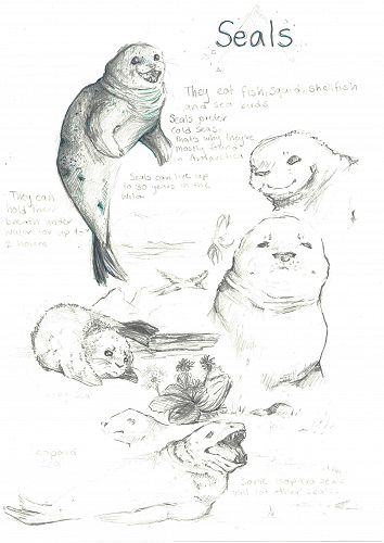 Emily Robertson, 10SLB 