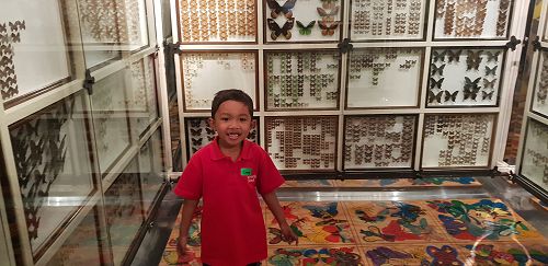 Awa's Trip to the Canterbury Museum