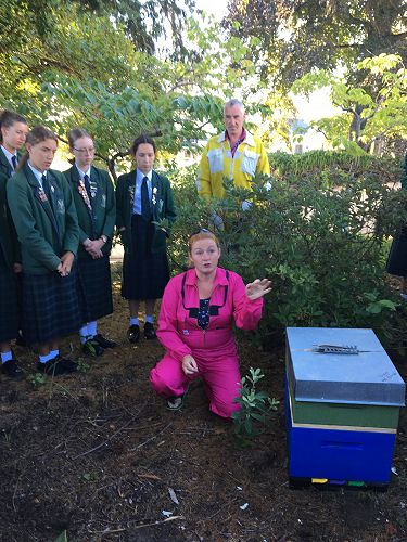 Mrs Rixon explains the different sections of the hive.