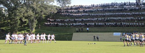 1st XV vs New Plymouth Boys' High School