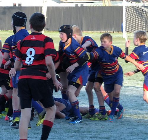 2016 RUGBY UNDER 12 