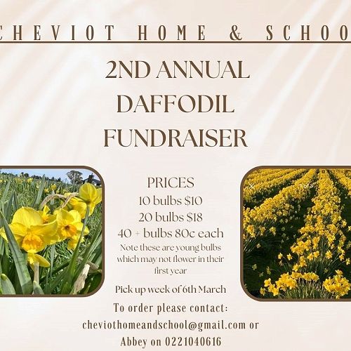 H & S Daffodil Fundraiser
