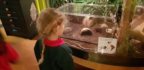 Awa's Trip to the Canterbury Museum