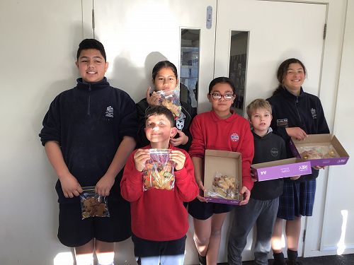 NZSL Hub GBM End product