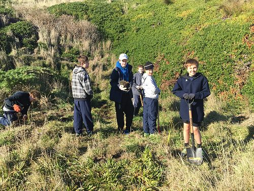 Planting for Penguins