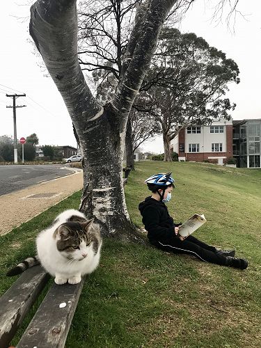 Liam Mao reading in an unusual place along with a friendly cat