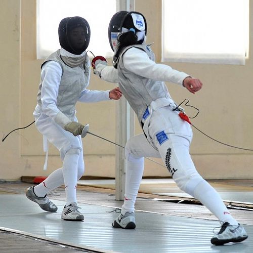 Fencing
