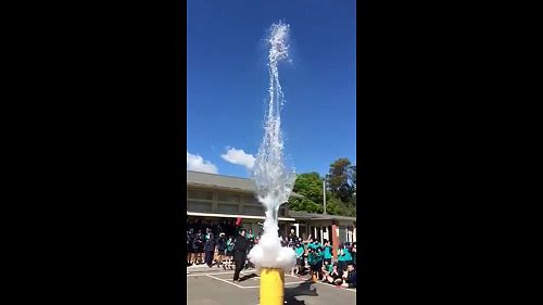 Video: video-1573710587