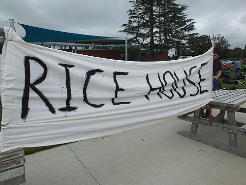 Rice flag
