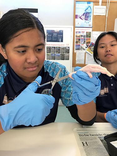 Seneuefa in her Science element