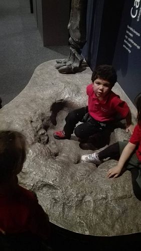 Team Awa's Visit to the Art Gallery and Museum