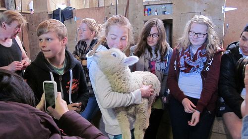 International Summer School