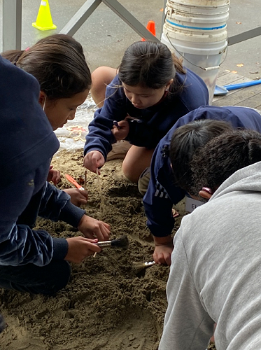 Student
palaeontologists 
