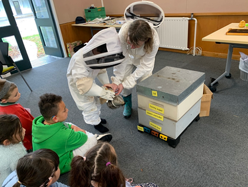 Dressed up for bees!