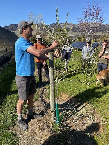 Pruning workshops
