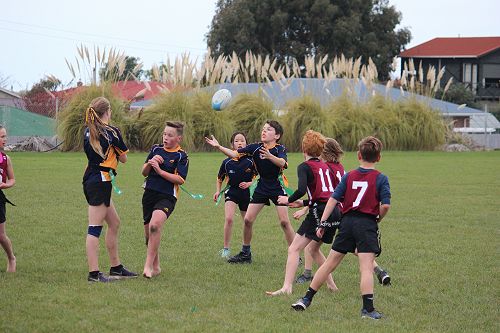 Rippa rugby 2017